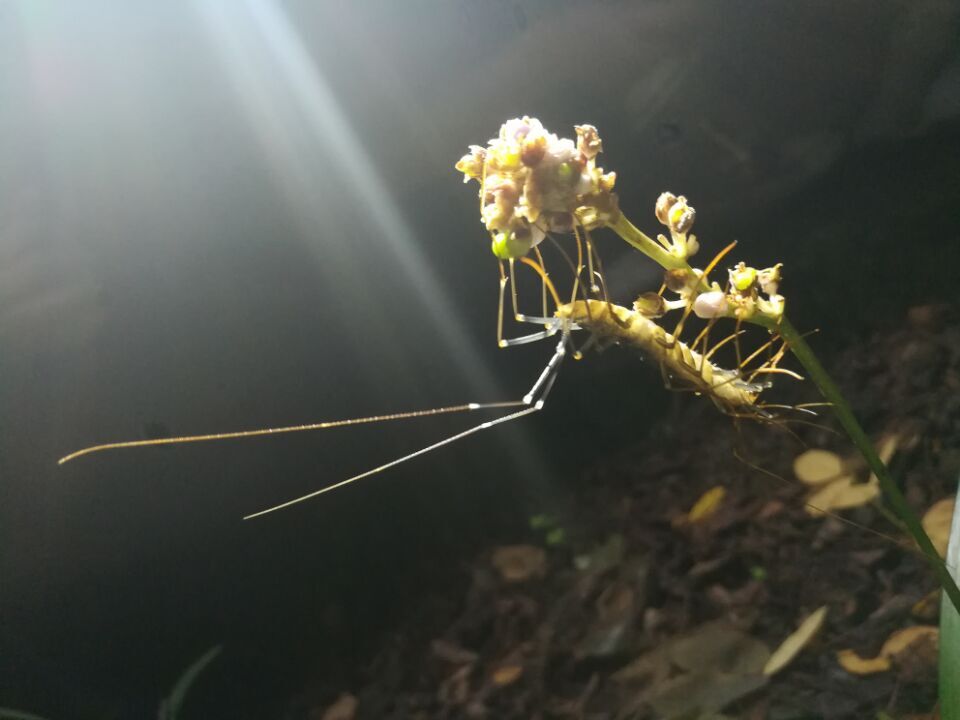 韩教授带你“夜探大蜀山”第三期